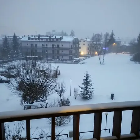 Fiore Rocca Rocca di Mezzo